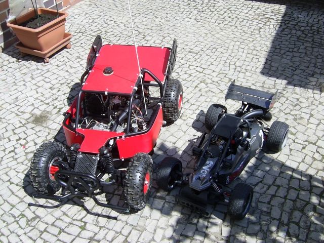 Eigenbau Buggy 1:3