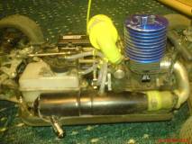 Mein Rex-X von Reely