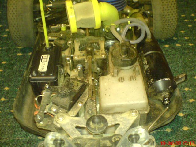 Mein Rex-X von Reely