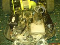 Mein Rex-X von Reely