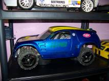 Meine RC-Cars